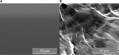 Synthesis and Characterization of Covalent Triazine Framework CTF-1@Polysulfone Mixed Matrix Membranes and Their Gas Separation Studies